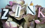 Zink 1