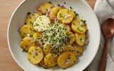 kartoffelsalat rezept vegan