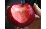 apfel herz
