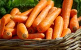 carrots 673184_1280