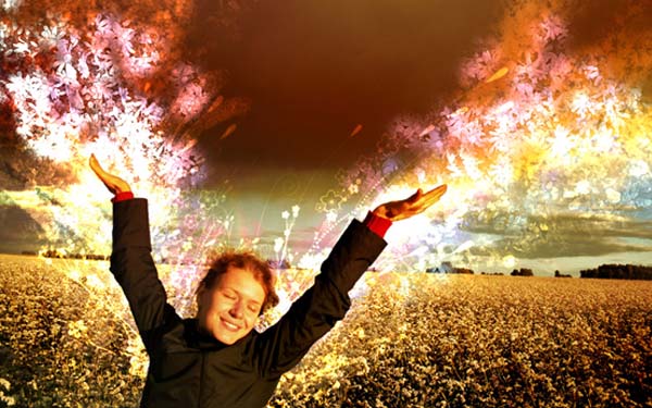 Energie durch Superfoods